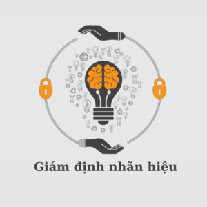 Giám định nhãn hiệu