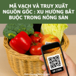 Mã vạch và truy xuất nguồn gốc: Xu hướng bắt buộc trong nông sản